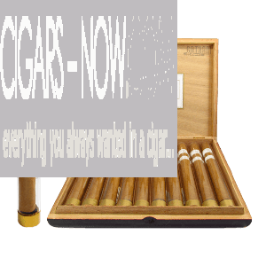 Rocky Patel Vintage 1999 Churchill